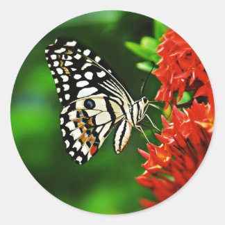 Schöner Schmetterling auf roten Blumen Runder Aufkleber