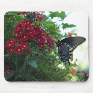 Schöner Schmetterling Mousepad