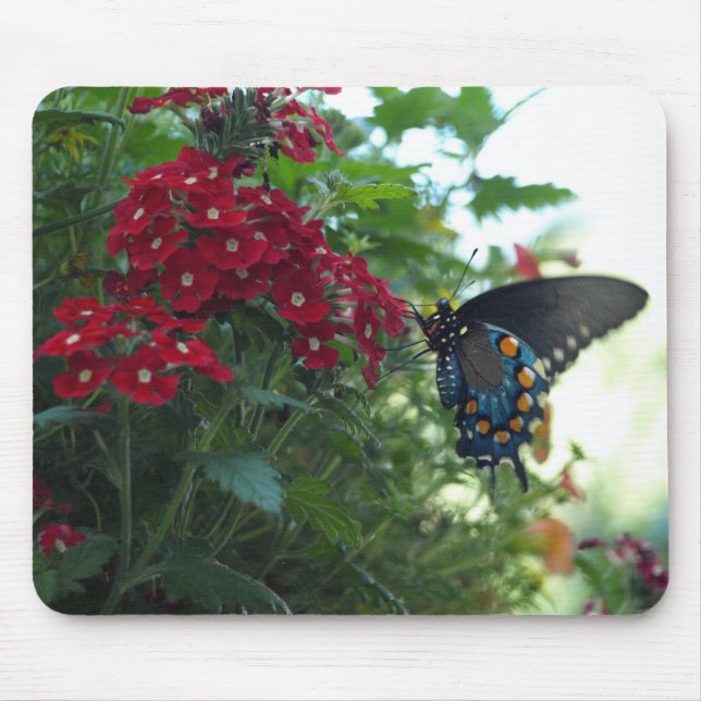 Schöner Schmetterling Mousepad (Vorne)