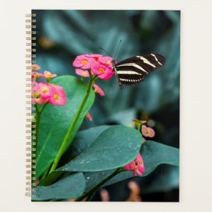 Schöner Schmetterling Planer
