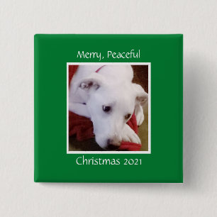 Schöner, schneeweißer Hund Grüner Weihnachtsplatz Button