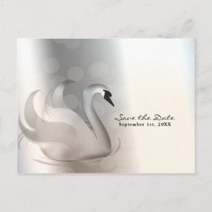 Schöner Schwan Silber Elegant Chic Save the Date Ankündigungspostkarte