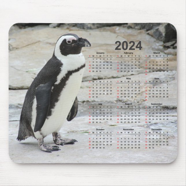 Schöner Schwarz-Weiß-Pinguin 2024 Kalender Mousepad (Vorne)