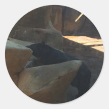 Schöner Schwarzbär Klettern