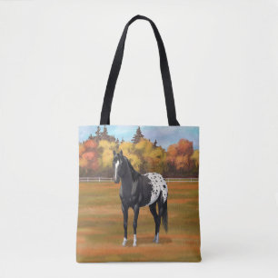 Schöner schwarzer Appaloosa Quarter Pferdehengst