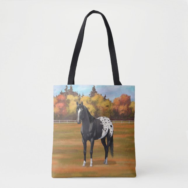 Schöner schwarzer Appaloosa Quarter Pferdehengst (Vorderseite)