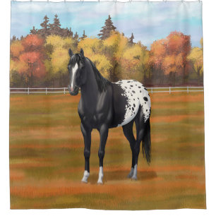 Schöner schwarzer Appaloosa Quarter Pferdehengst Duschvorhang