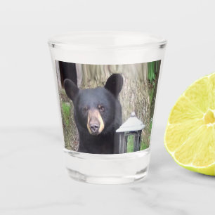 Schöner schwarzer Bär Schnapsglas