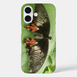 Schöner schwarzer, roter und goldener Schmetterlin iPhone 16 Hülle