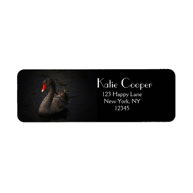 Schöner Schwarzer Schwan mit hellrotem Schnabel (Vorne)