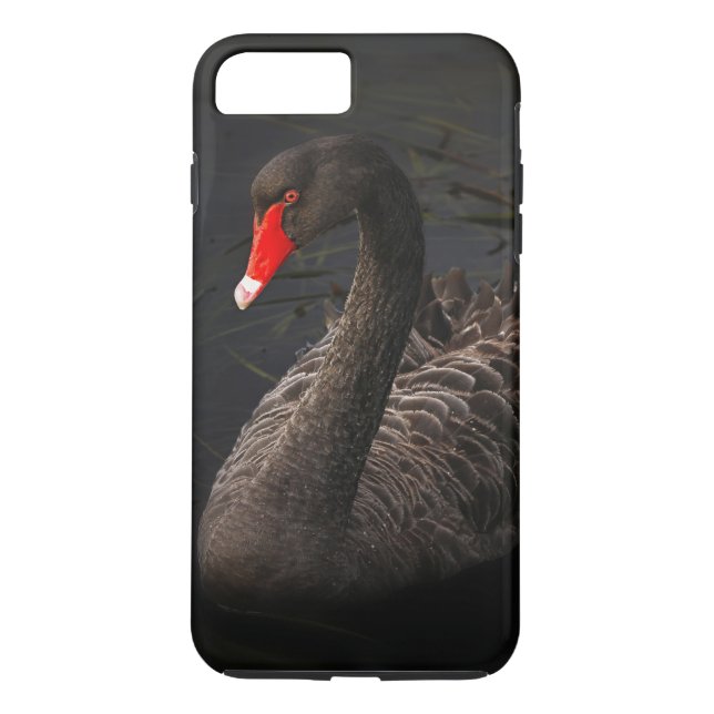 Schöner Schwarzer Schwan mit hellrotem Schnabel Case-Mate iPhone Hülle (Rückseite)