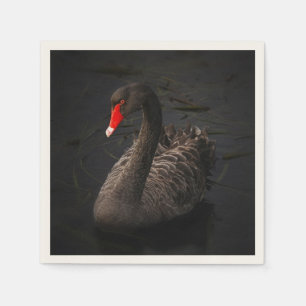 Schöner Schwarzer Schwan mit hellrotem Schnabel Serviette