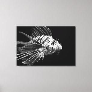 Schöner schwarzer und weißer Lionfisch Leinwanddruck