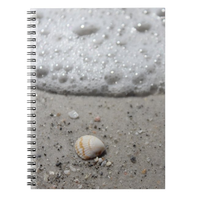 Schöner Seashell auf dem Strandnotizbuch Notizblock (Vorderseite)