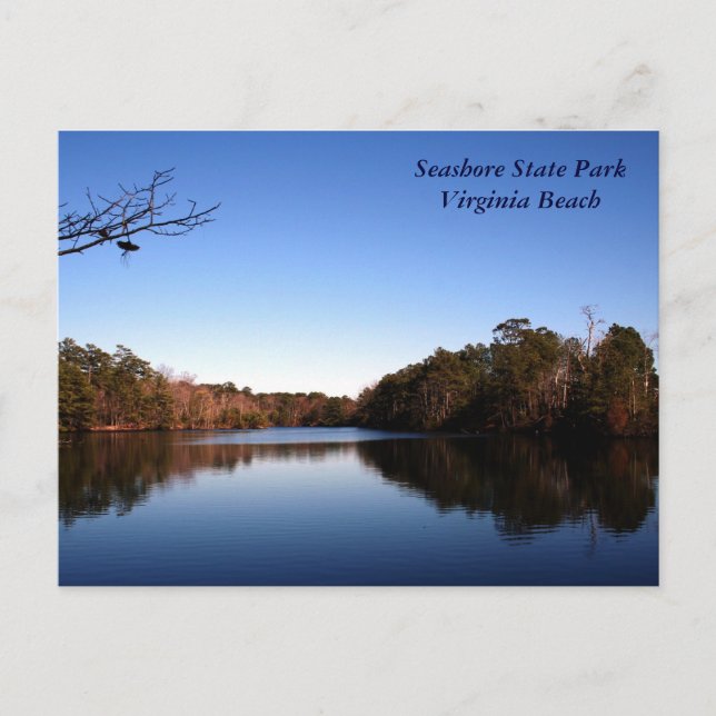 Schöner See Postkarte (Vorderseite)