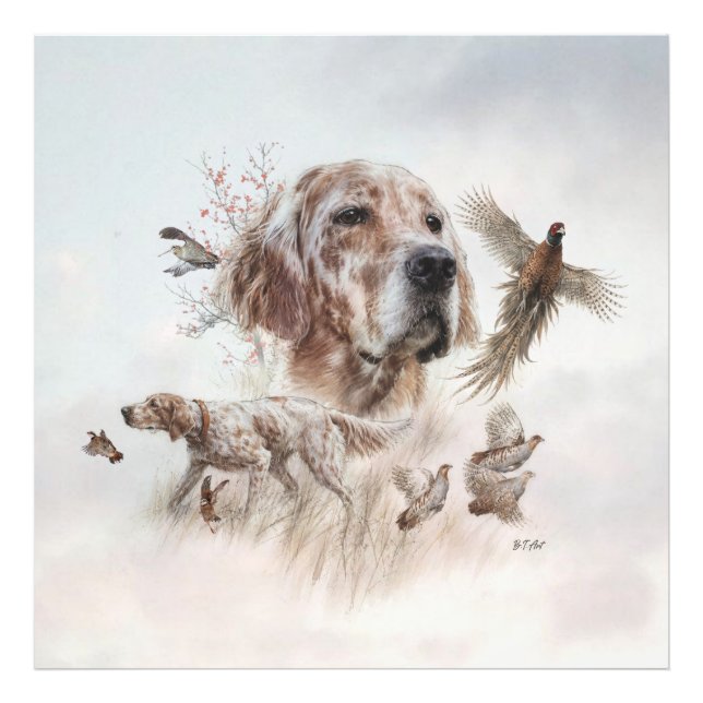 Schöner Setter, Kunst Fotodruck (Vorne)