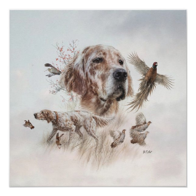 Schöner Setter, Kunst Poster (Vorderseite)