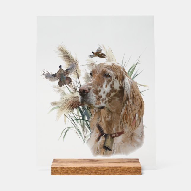 Schöner Setter mit Fasanen, Kunst Acrylschild (Vorderseite)