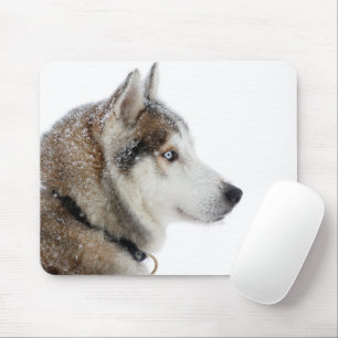 Schöner sibirischer Husky im Schnee Mousepad