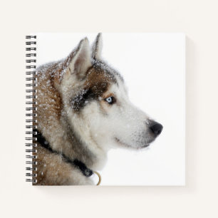 Schöner sibirischer Husky im Schnee Notizbuch