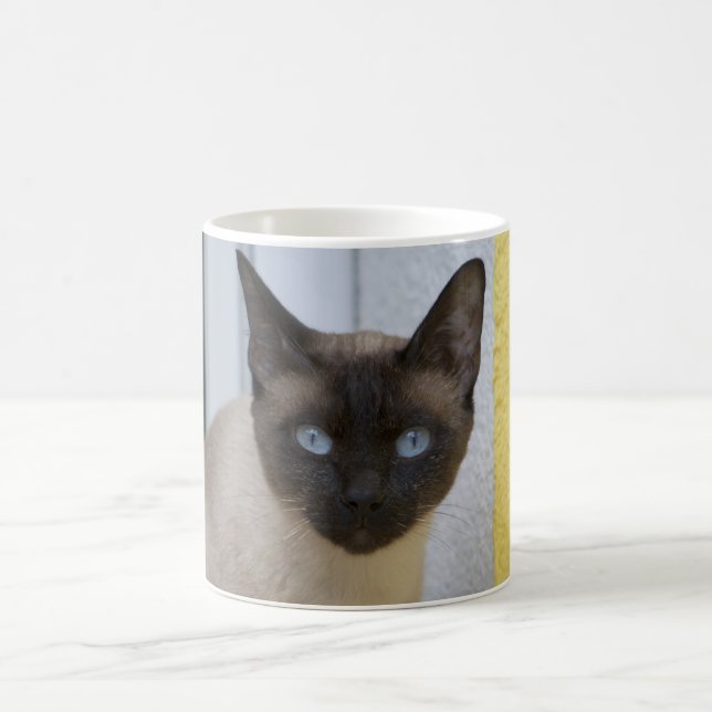 Schöner Siegel-Punkt-siamesische Katze Kaffeetasse (Mittel)