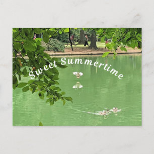 Schöner Sommersee mit Enten. Postkarte