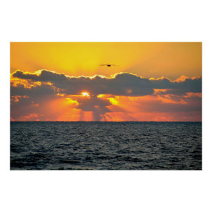 Schöner Sonnenaufgang am Meer Poster
