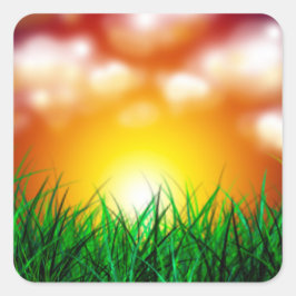 Schöner Sonnenaufgang über einem Grasfeld Quadratischer Aufkleber