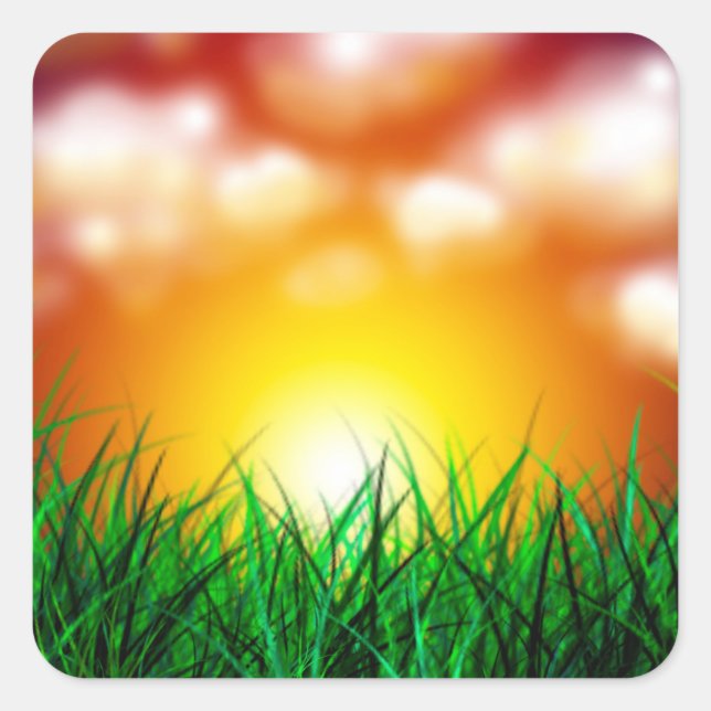 Schöner Sonnenaufgang über einem Grasfeld Quadratischer Aufkleber (Vorderseite)