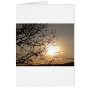 Schöner Sonnenuntergang mit branchs