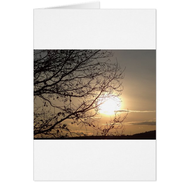 Schöner Sonnenuntergang mit Zweigen (Vorne)