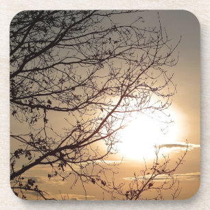 Schöner Sonnenuntergang mit Zweigen Getränkeuntersetzer