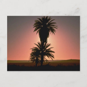 Schöner Sonnenuntergang: Sahara-Wüste, Algerien Postkarte