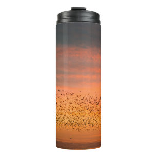 SCHÖNER SONNENVERKEHR MIT VÖGELN THERMOSBECHER