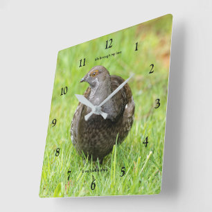 Schöner Sooty Grouse Gamebird im Gras Quadratische Wanduhr