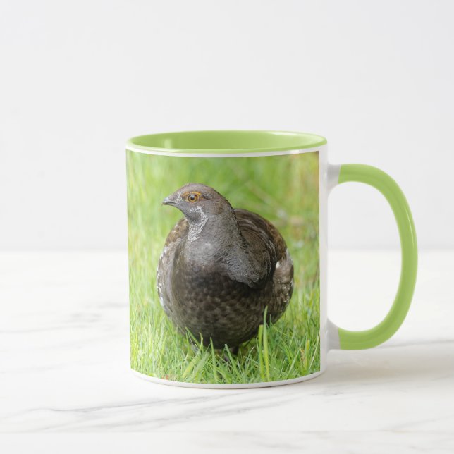 Schöner Sooty Grouse Gamebird im Gras Tasse (Rechts)