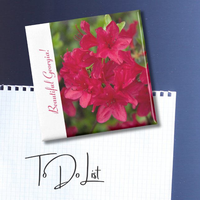 Schöner Staat Blume Georgia~ Azalea Magnet (Von Creator hochgeladen)