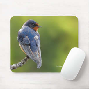 Schöner Stall Swallow Songbird an einer Abzweigung Mousepad