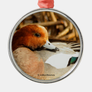 Schöner Stranger in der Eurasian Wigeon Duck Ornament Aus Metall