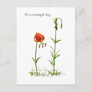 Schöner Tag... Postkarte