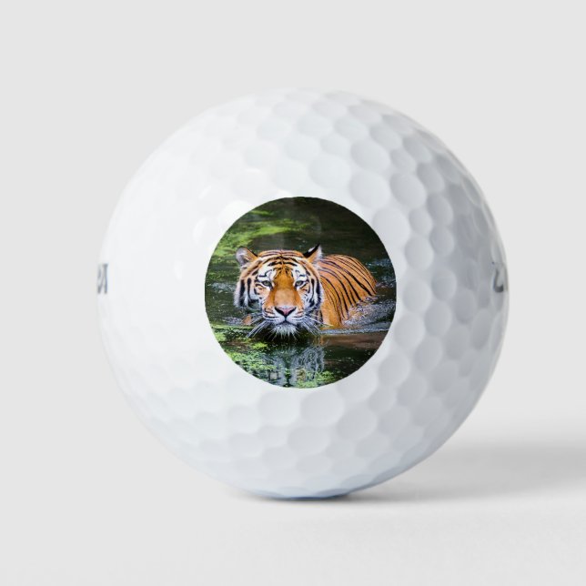 Schöner Tiger im Wasser Golfball (Vorderseite)