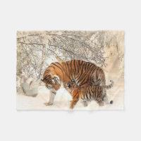 Schöner Tiger mit Jungtier im Schnee