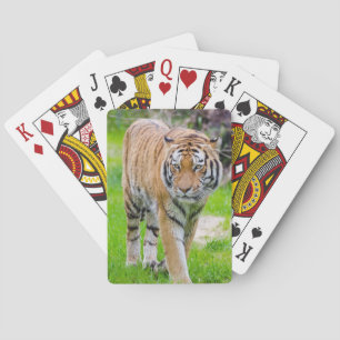 Schöner Tiger Spielkarten