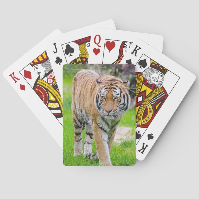Schöner Tiger Spielkarten (Rückseite)