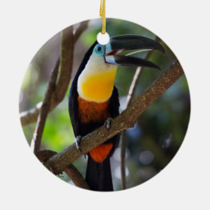 Schöner toucan Vogel in einer Baumnaturlandschaft Keramik Ornament