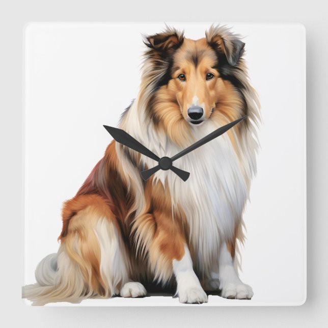 SCHÖNER TRI-FARBENER LANGER HAIRED COLLIE HUND QUADRATISCHE WANDUHR (Vorderseite)