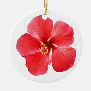 Schöner tropischer Hibiskus Weihnachtsschmuck