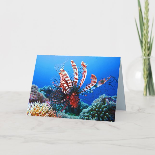 Schöner tropischer Lionfish Karte (Vorderseite)