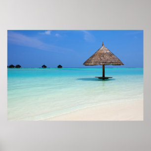 Schöner tropischer Strand auf den Malediven Poster