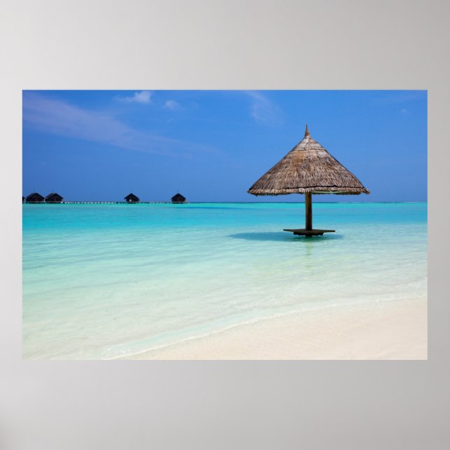 Schöner tropischer Strand auf den Malediven Poster (Vorne)